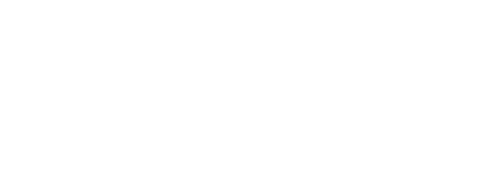 Partner - Lisk Logo.png